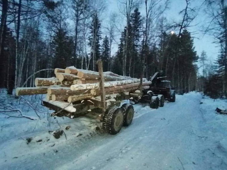 Контрабандист леса в Красноярском крае будет осужден по восьми уголовным делам